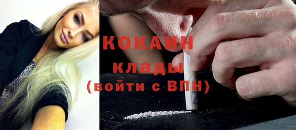 дживик Абинск