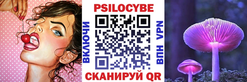 Псилоцибиновые грибы Psilocybine cubensis  Клинцы 