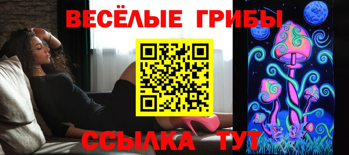 Псилоцибиновые грибы ЛСД Клинцы