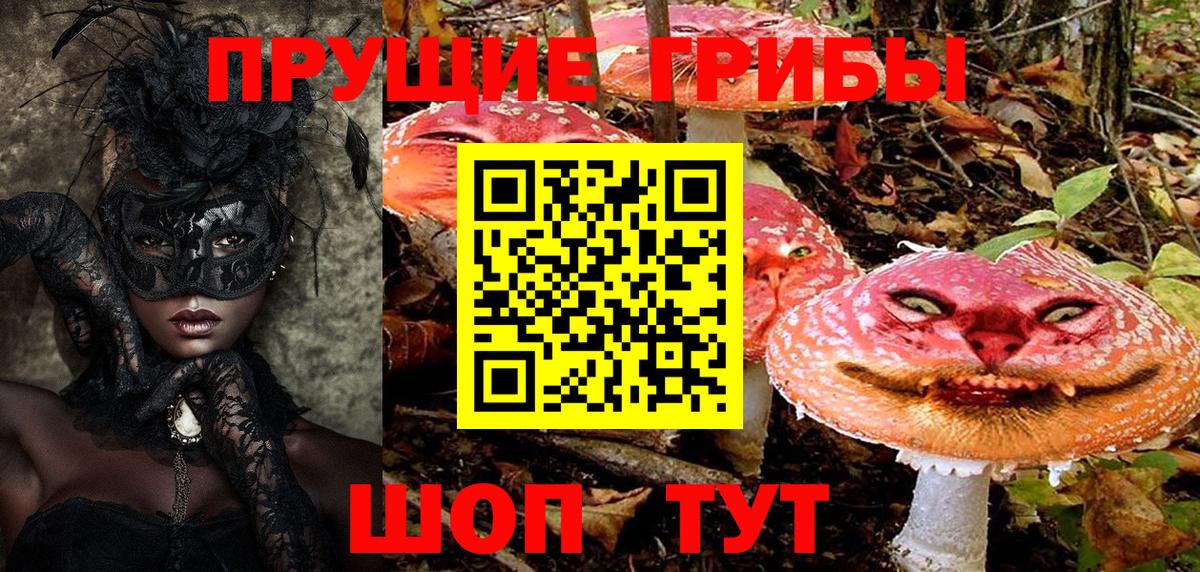 Псилоцибиновые грибы прущие грибы  Псилоцибиновые грибы Magic Shrooms  Клинцы  Вход с VPN 